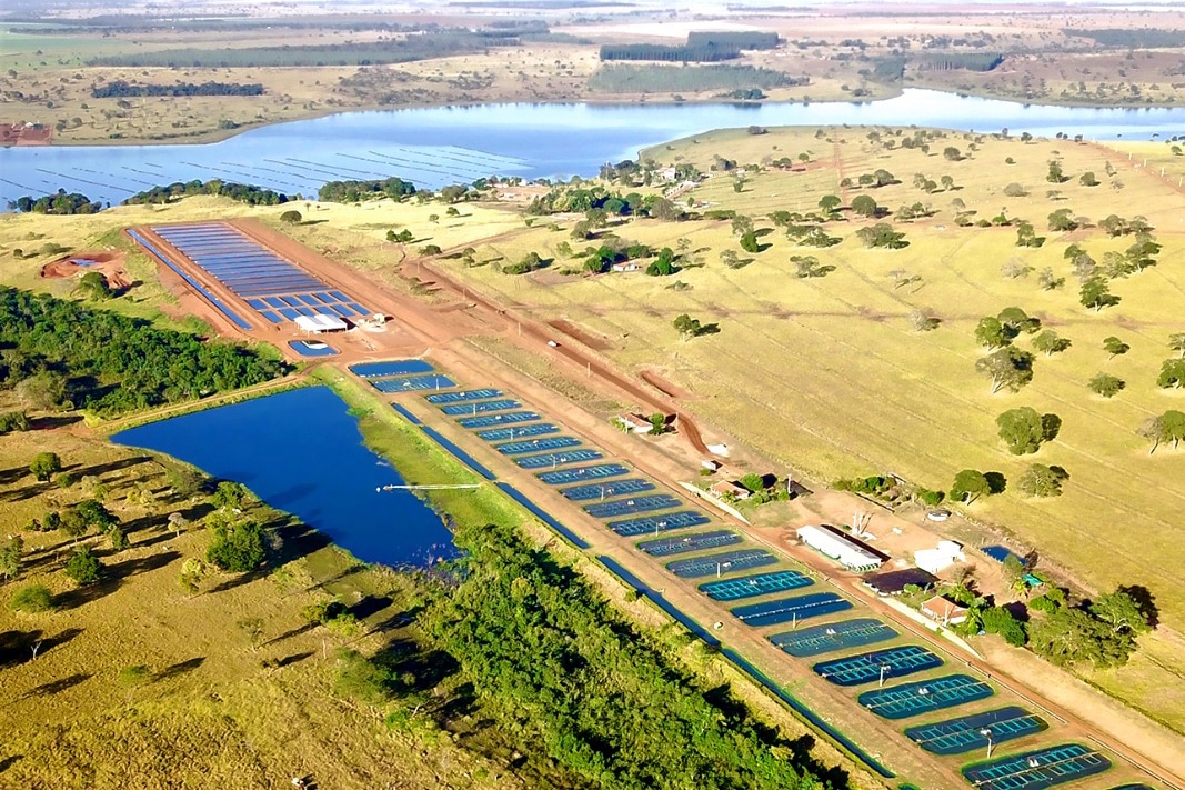 One of AquaGenetics do Brasil’s site Paranaiba, located in the state of Mato Grosso do Sul, Brazil. Photo: AquaGenetics do Brasil.