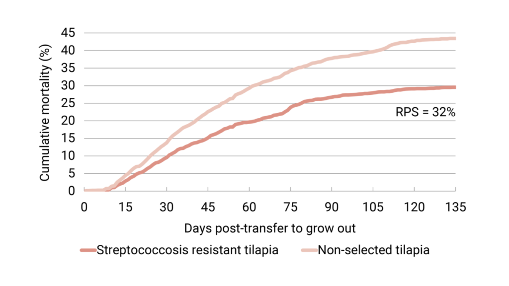 Graph showing the level of protection (32% relative percent survival) against streptococcosis in a field trial in Malaysia.