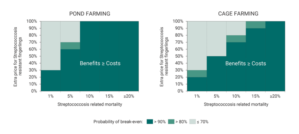 A graph showing when the benefits are similar or higher than the costs by using Streptococcosis-resistant tilapia fingerlings in pond and cage farming.