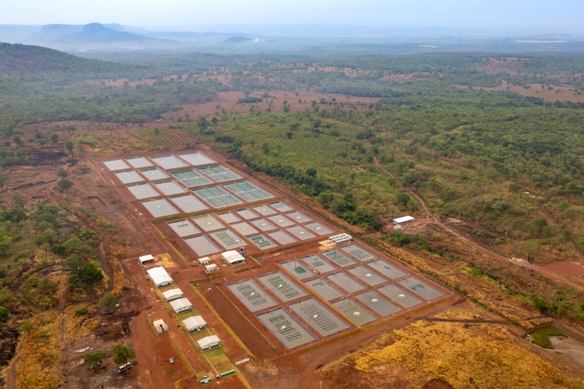 GenoMar Breeding and Genetics Centre in Brazil.