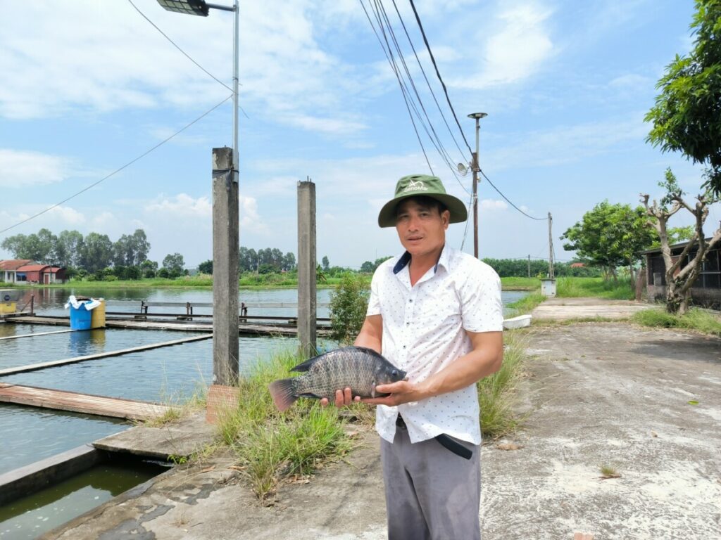 Vietnamese aquaculture farmer standing in front of his farm, holding a tilapia in his hands.