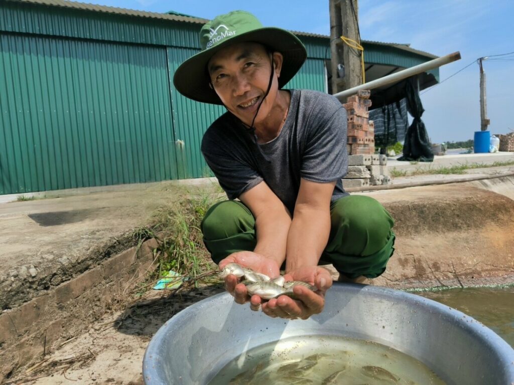 Vietnamese aquaculture farmer sitting in front of his farm, holding small tilapia in his hands.